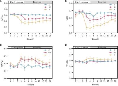 Integrated analysis of the physiological, transcriptomic and metabolomic responses of Neoporphyra haitanensis after exposure to UV-B radiation: an energy metabolism perspective